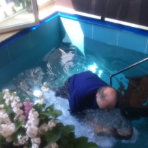 34673343_465204693899702_8947893452964626432_o